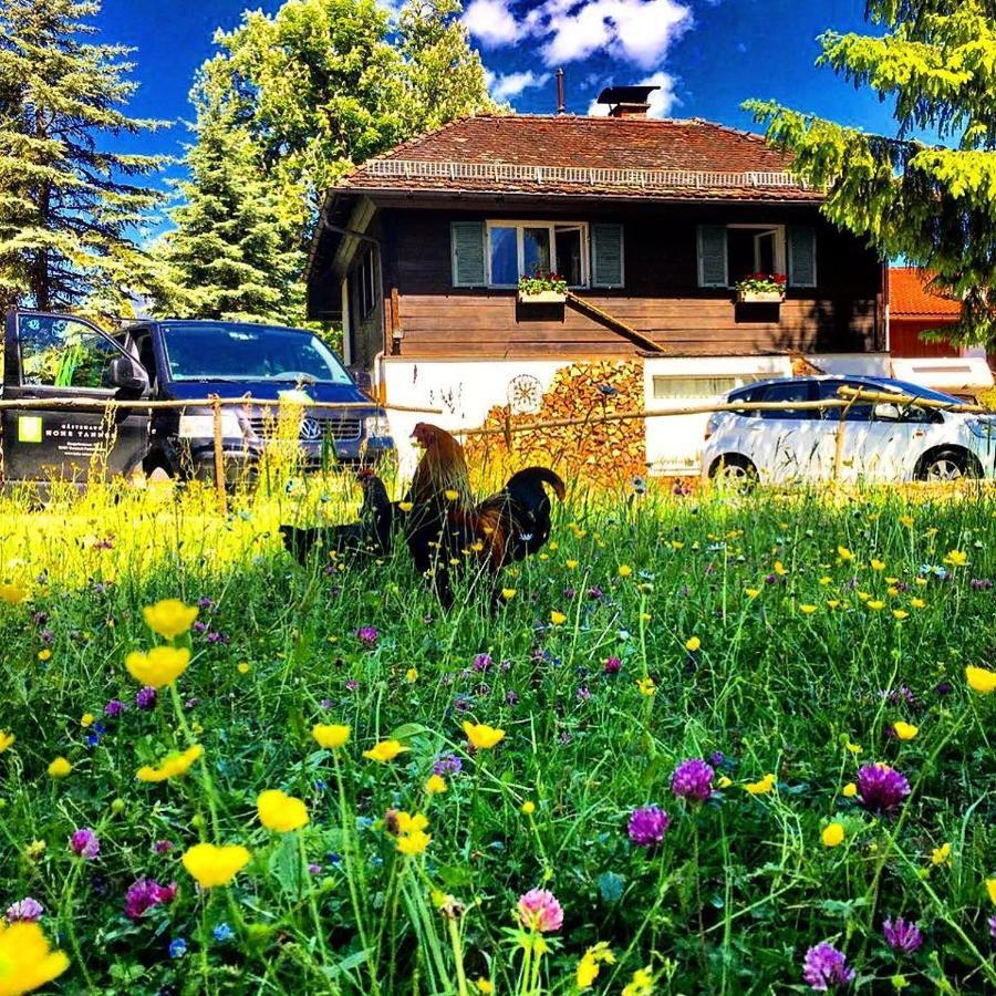 Gaestehaus Hohe Tannen Garmisch-Partenkirchen Exteriör bild